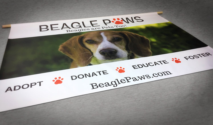 Banners / Banner Stands